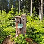 Bavarian Relax & Feuersalamander - Inklusive Gaestecard Sankt Englmar