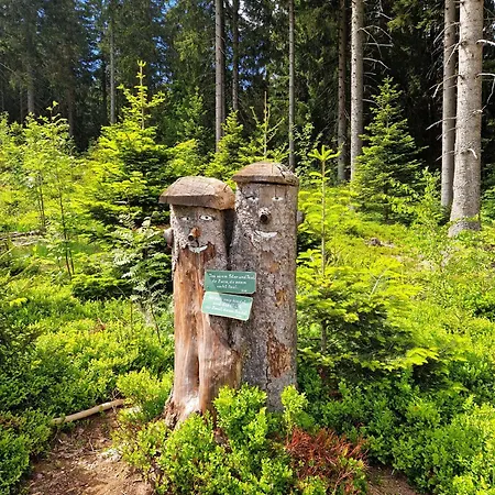 Bavarian Relax - Inklusive Gaestecard Санкт-Энгльмар