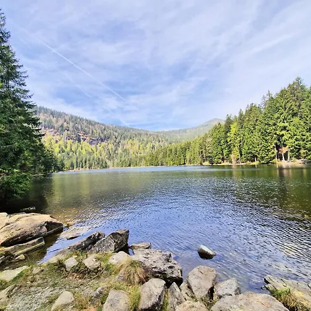 Апартаменты Bavarian Relax - Inklusive Gaestecard Санкт-Энгльмар